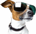 LensLuxe